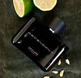 عطر مردانه اسندنت 75میل